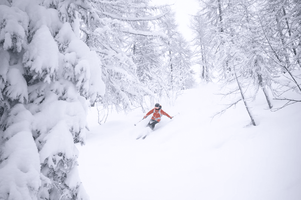 A skier navigates through deep snow in a winter forest.