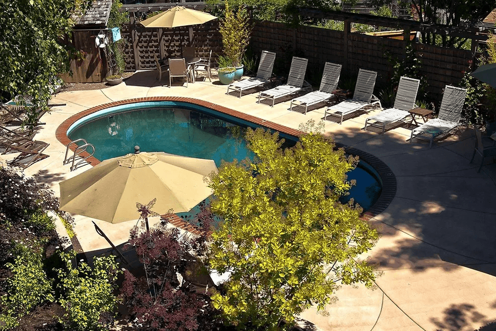 A sunlit pool surrounded by lounge chairs and lush greenery.